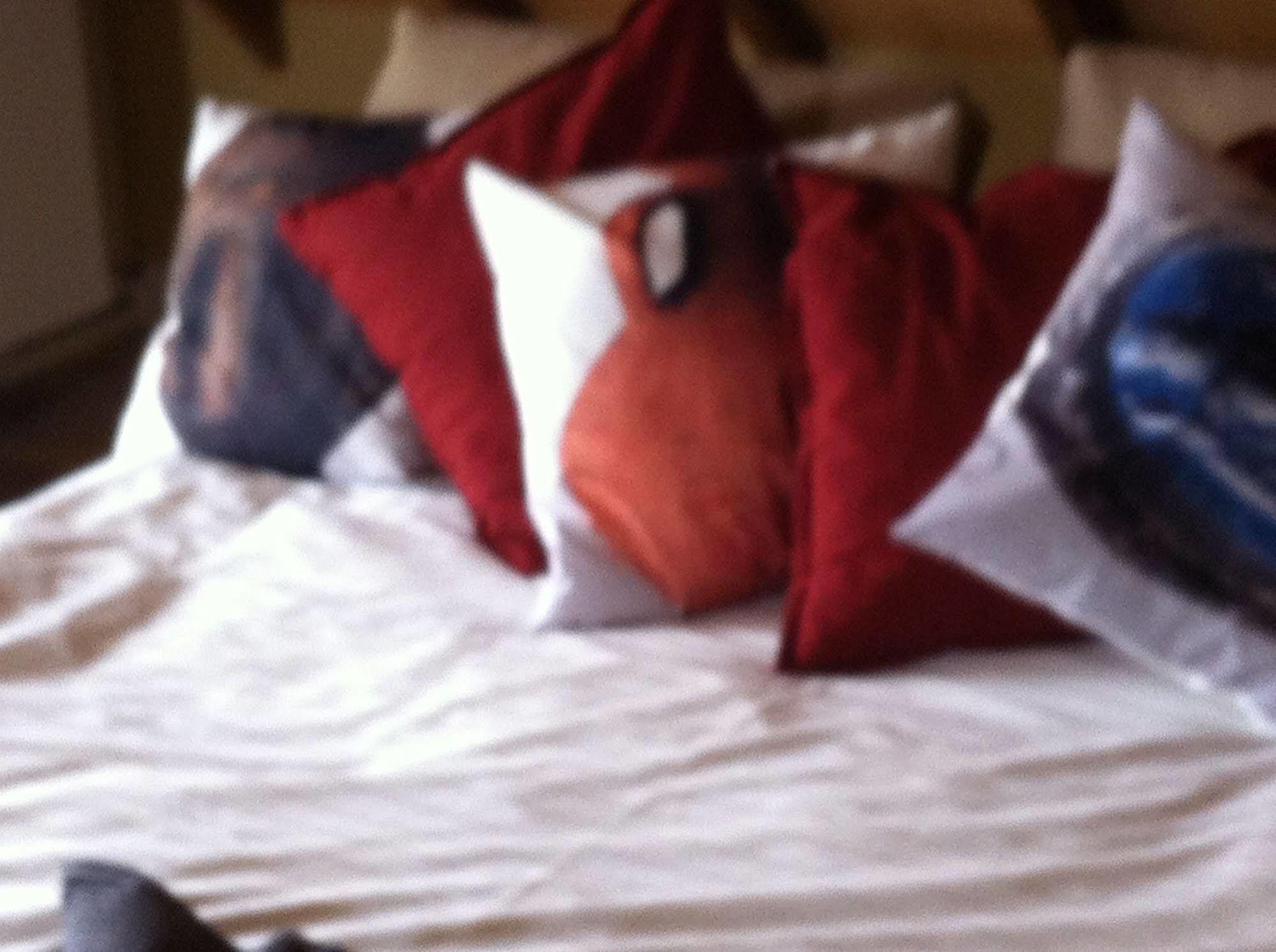 비크빅두스테드 De Nachtdijk B&B 외부 사진